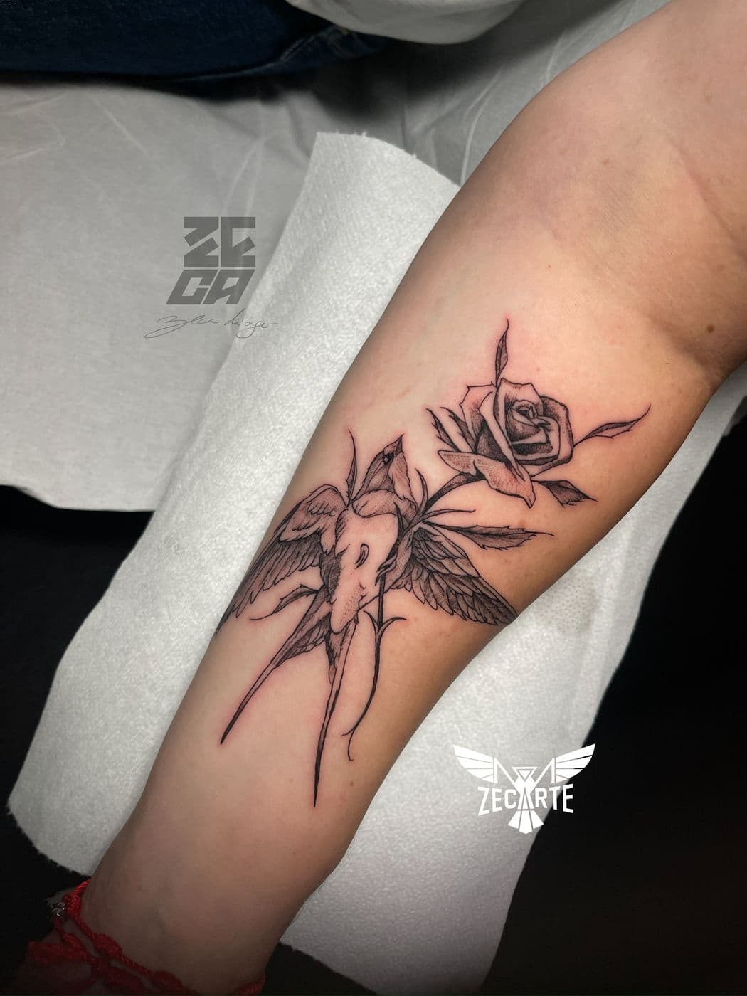 Strelitzia and a rose