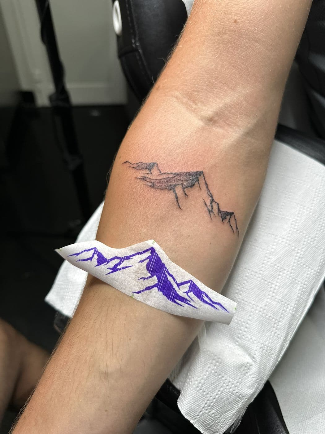 The mountain line
